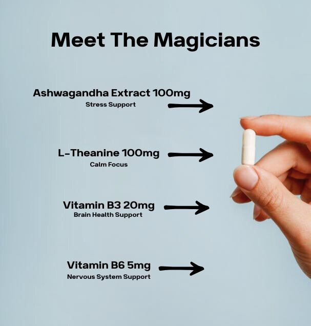 Calm Capsules - Daily Calm & Focus Support
